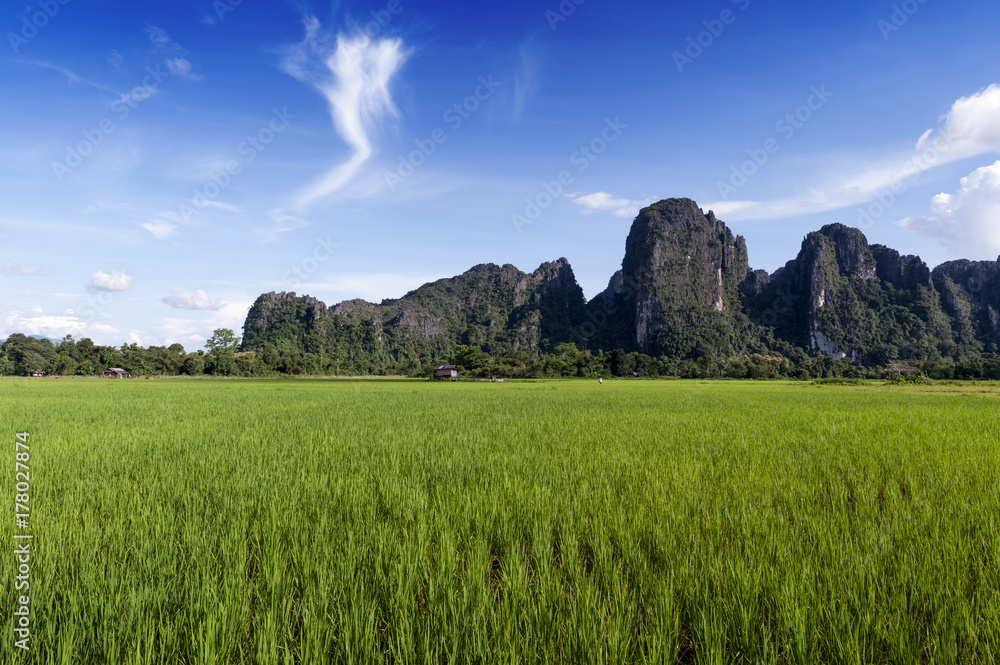 Green rice paddy field and limestone mountains in Vang Vieng, popular tourist resort town in Lao PDR.