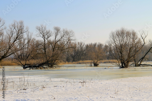 Wallpaper Mural Winter meadow with frozen water and trees Torontodigital.ca