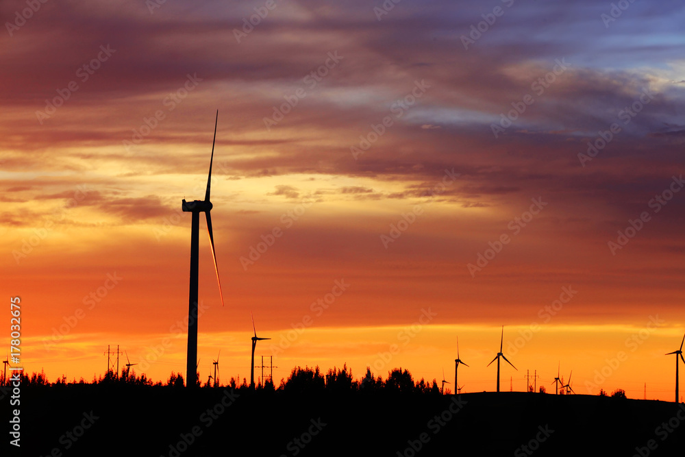 Obraz premium Wind turbines in the evening