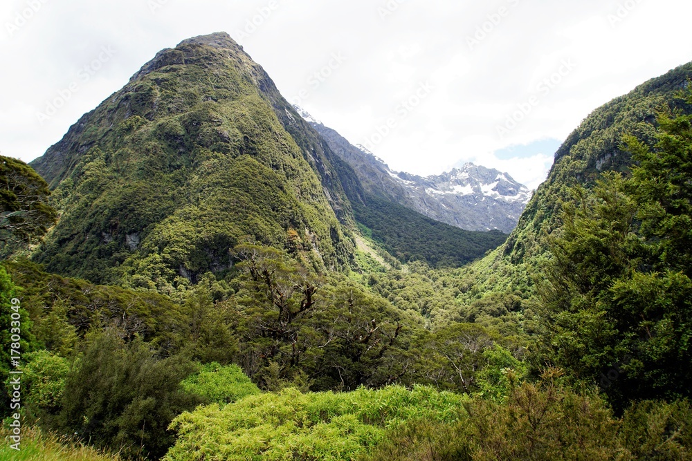 New Zealand vista