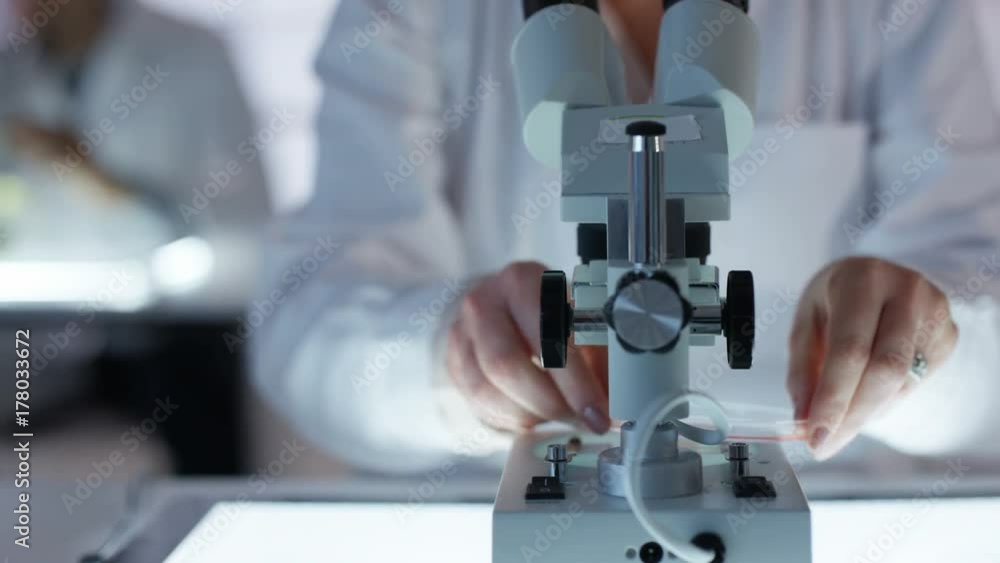 Close up medical researcher working in the lab analyzing samples Close up medical researcher working in the lab analyzing samples