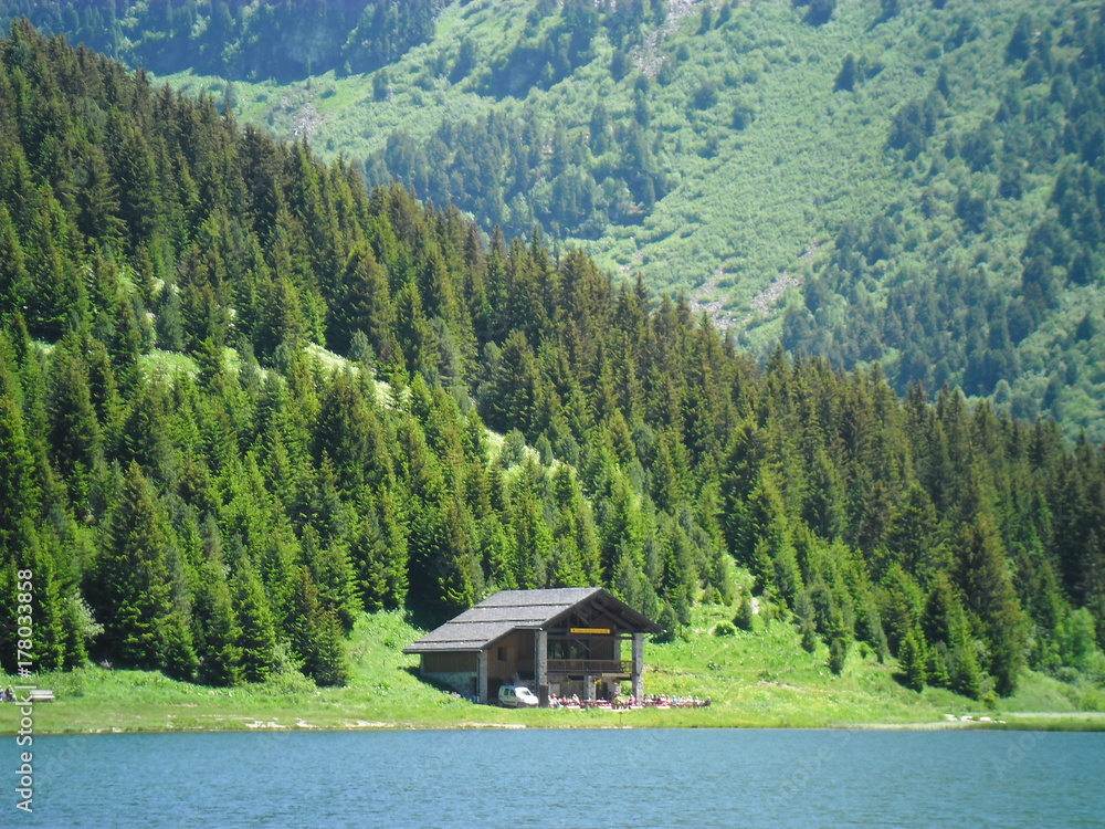 Fototapeta premium ALPES