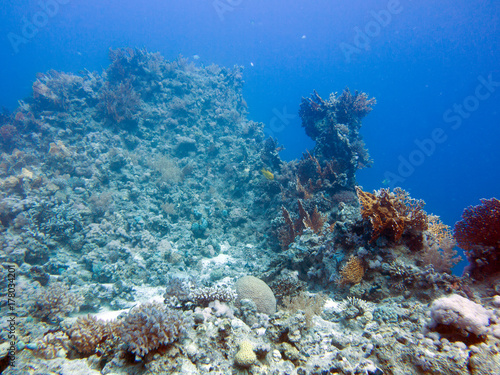 Unterwasser Ägypten