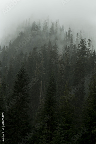 Fototapeta Naklejka Na Ścianę i Meble -  Washington Mountain