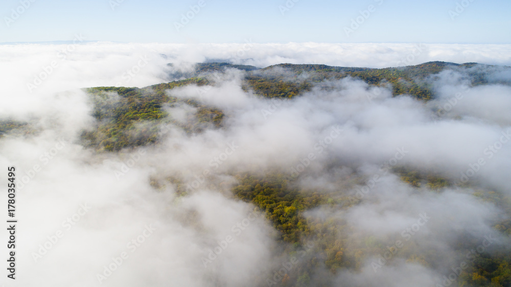 Forested mountain slope in low lying cloud with the autumn forest shrouded in mist in a scenic aerial view