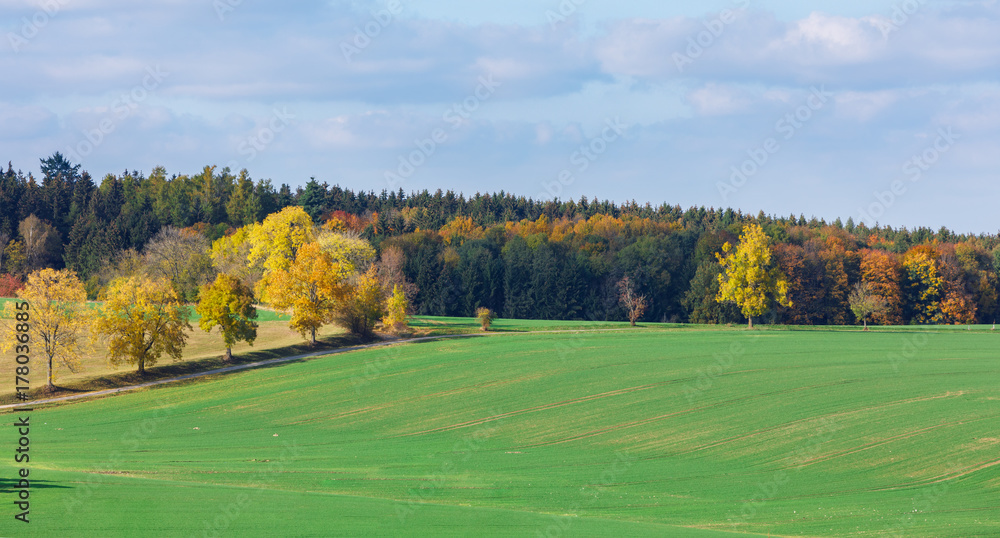 Autumn landscape with fall colored trees Autumn landscape with fall colored trees