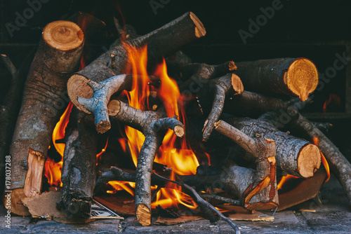 Blazing firewoods in close-up.