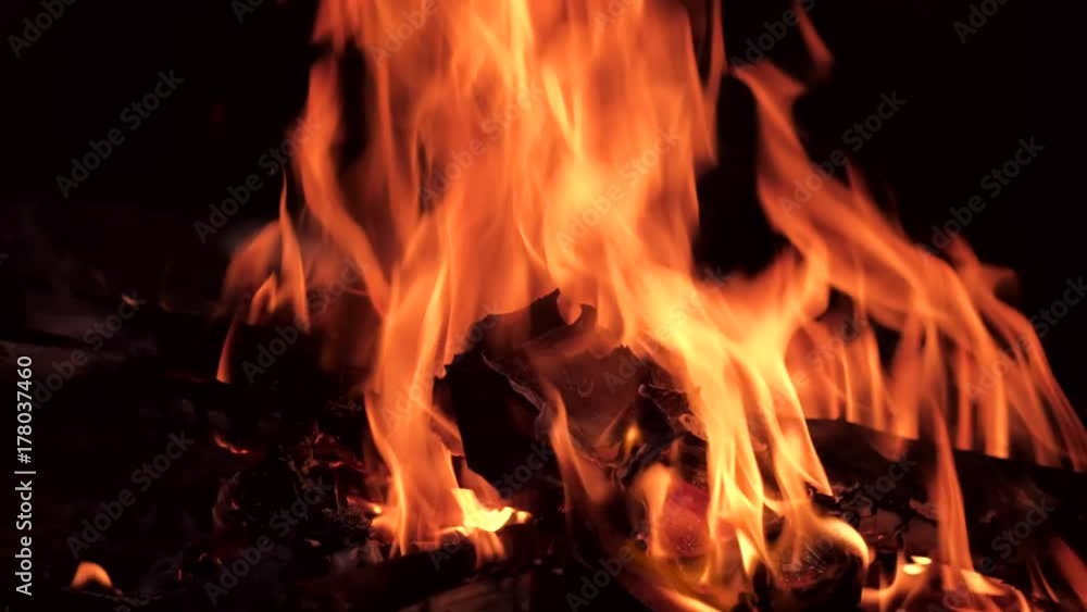 Close up - In the forest a fire burns, old photos are burned in it. Fire flames on a black background. 4k uhd Close up - In the forest a fire burns, old photos are burned in it. Fire flames on a black background. 4k uhd