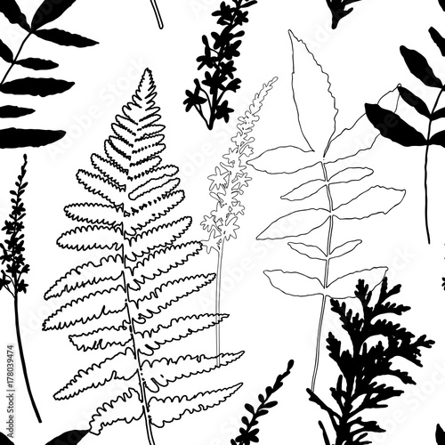Floral vector seamless pattern with wild flowers, fern leaves and evergreen p...