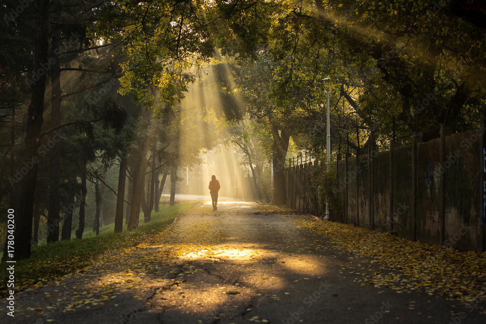Woman enjoying walking in a beautiful alley of a park with rays of light in autumn morning