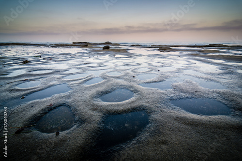 Εκτύπωση καμβά La Jolla tide pools