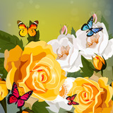 roses and butterflies