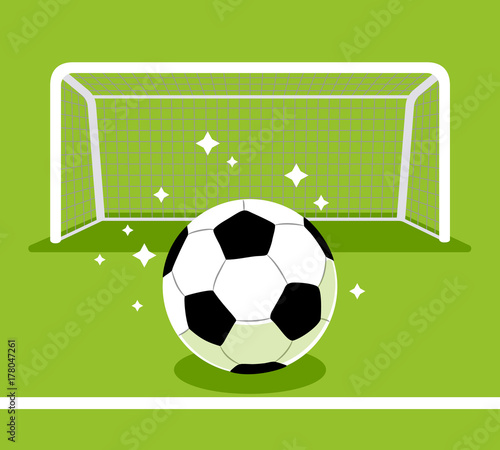 Soccer goal and ball on the green field.Vector illustration
