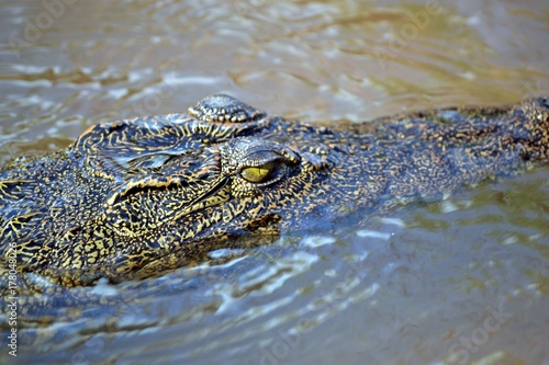 Crock closeup