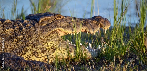 Crock close up