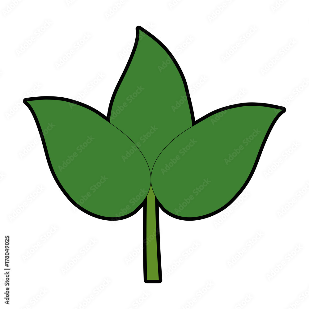 leafs decoratives isolated icon leafs decoratives isolated icon
