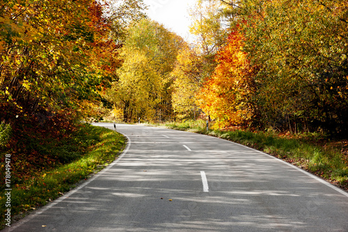 straße durch herbstwald