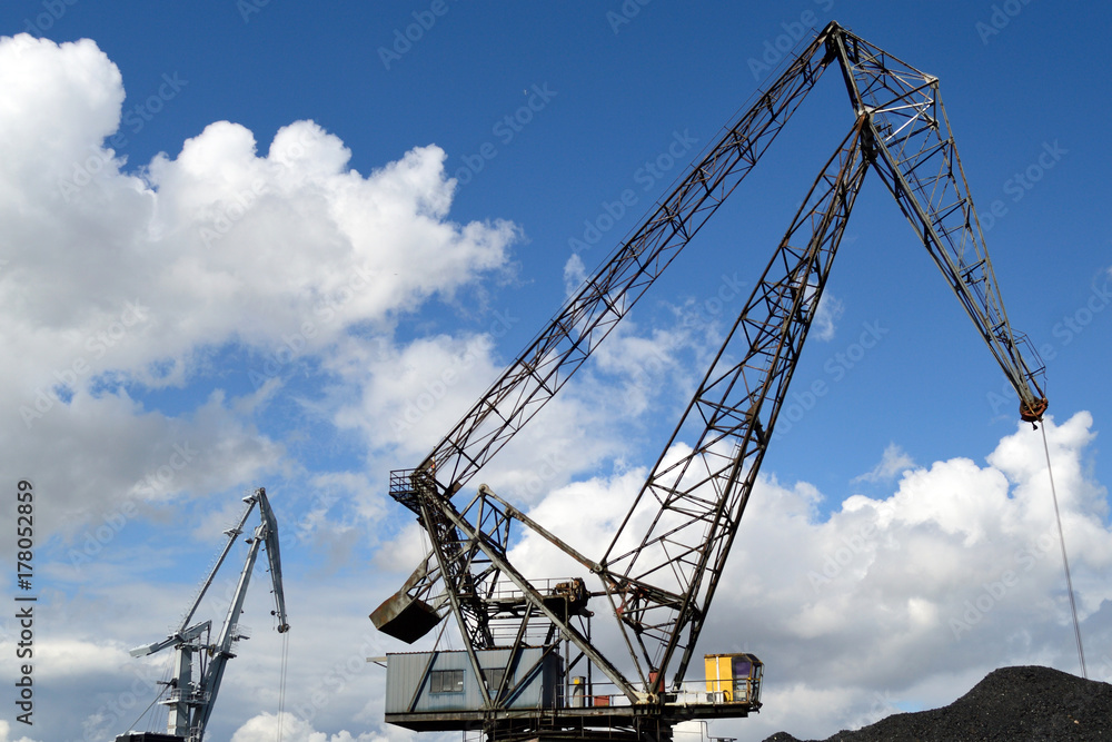 Fototapeta premium Kräne, q.