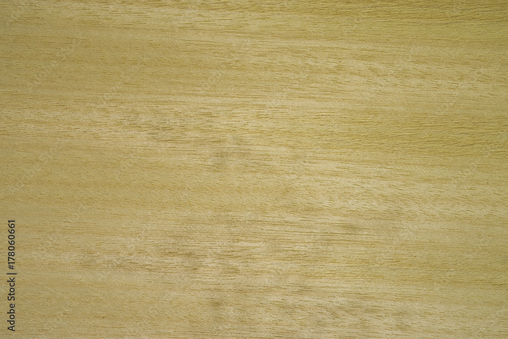 Backdrop or background wooden. Veneer chen tree. Backdrop or background wooden. Veneer chen tree.
