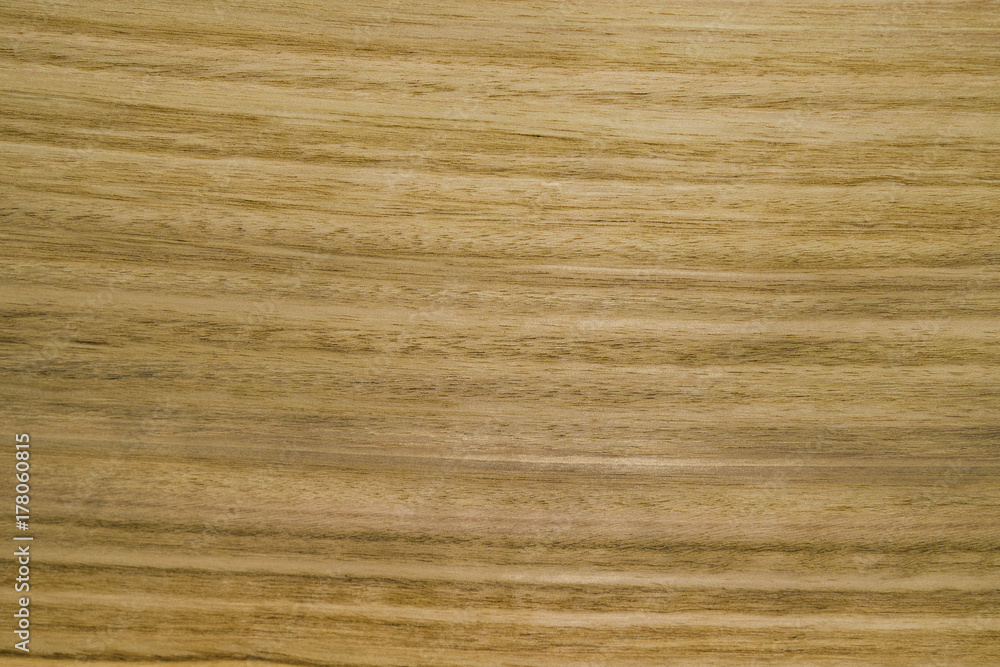 Backdrop or background wooden. Eucalyptus tree. Backdrop or background wooden. Eucalyptus tree.