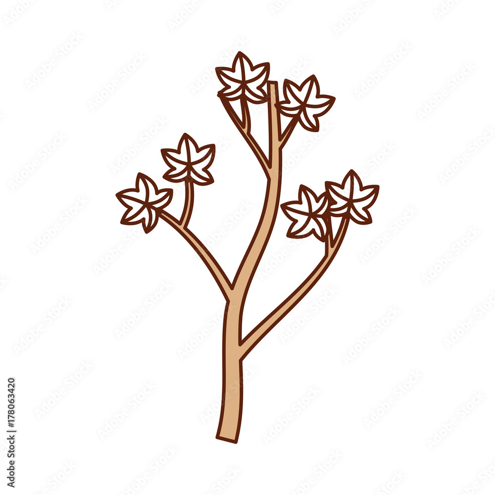 Obraz premium autumn branch of tree and leaves seasonal