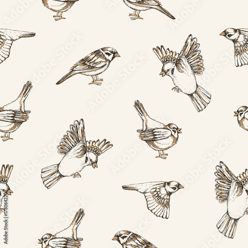 Beautiful seamless pattern with flying and sitting sparrows on light backgrou...