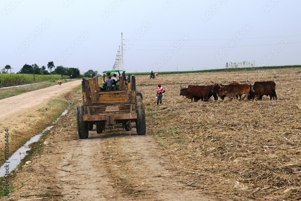 Obraz premium SANTO DOMINGO