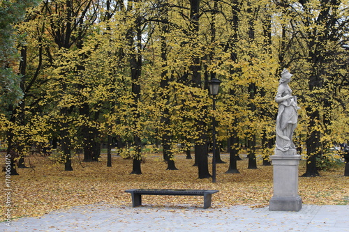 Obraz na płótnie Park w salonie