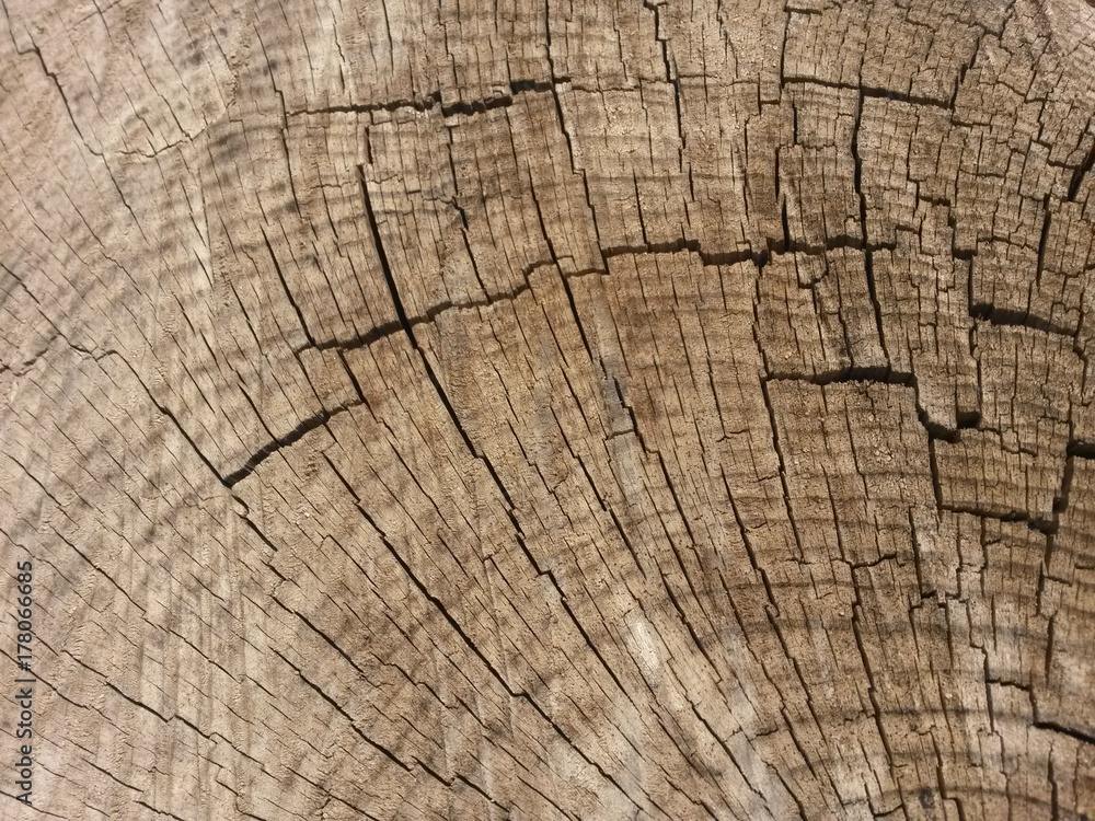 Naklejka premium bois coupe fissures