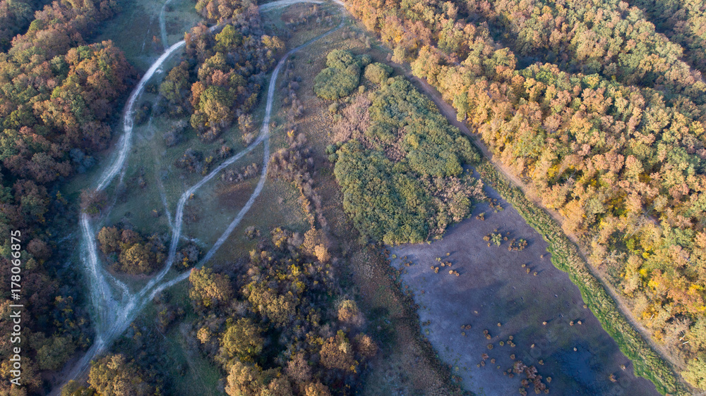 Aerial view of forest in autumn