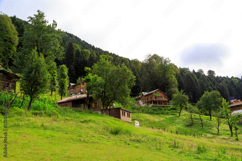 Mountain Houses in Ayder Plateau