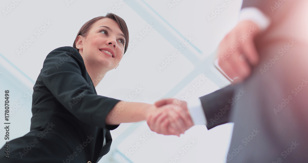 Two professional business people shaking hands Two professional business people shaking hands