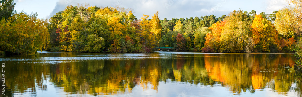 Image of autumn trees and pond Image of autumn trees and pond