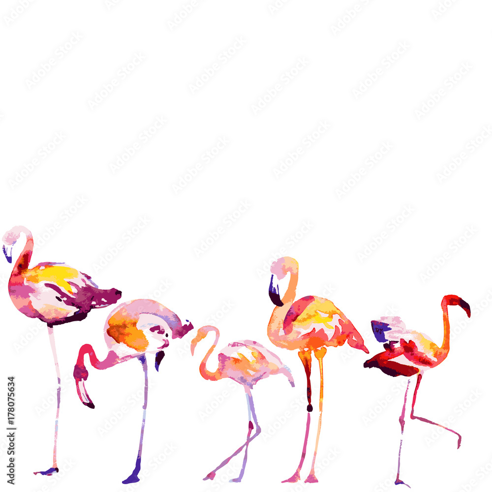 Fototapeta premium Beautiful watercolor flamingos, isolated on a white. Big set.