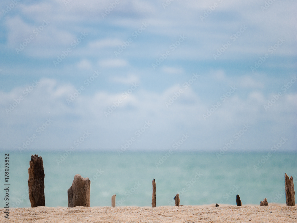 The abstract art of nature with a row of old wood sticks on a sandy beach with background of blue sky and sea