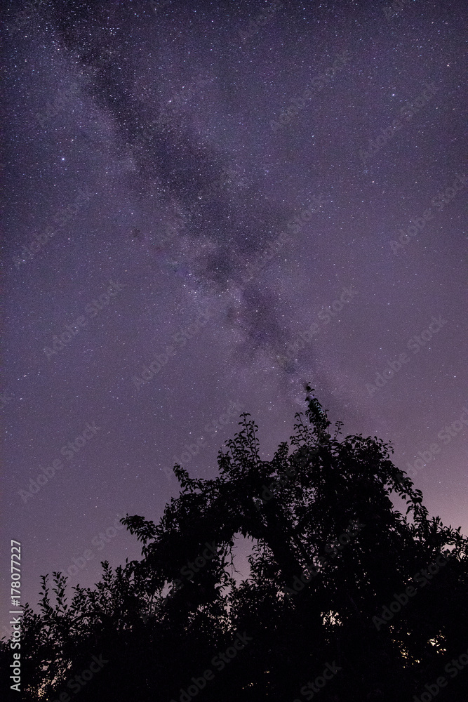 Milky Way over Orchard Milky Way over Orchard