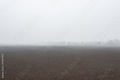 foggy landscape with field and trees