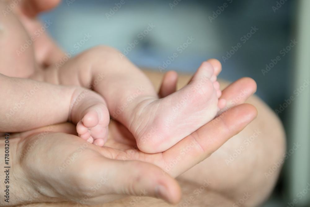 Children's feet in hands of father. Children's feet in hands of father.