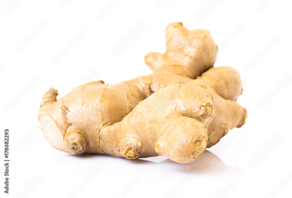Fresh ginger root on white background for herb and medical product concept Fresh ginger root on white background for herb and medical product concept