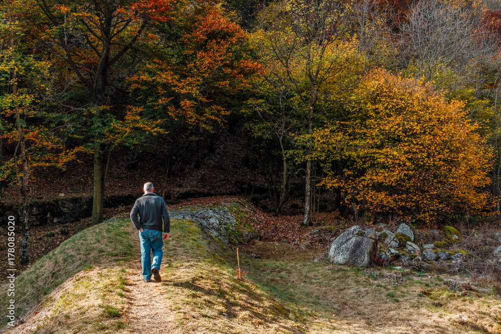Piedicavallo, Italy - October 20, 2017: Middle-aged man walks along an alpine trail full of autumn colors