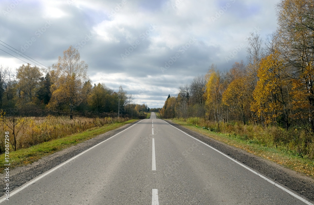 Golden autumn. Empty suburban road with new road markings under cloudy autumn day Golden autumn. Empty suburban road with new road markings under cloudy autumn day