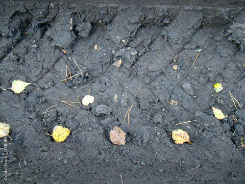 Wallpaper Mural The track from the car on the ground Torontodigital.ca