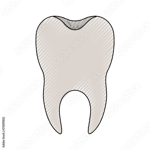 healthy tooth with root in colored crayon silhouette