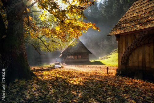 Fotografie, Obraz Old cottages under colorful trees