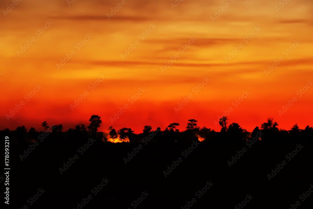 Night fire in the forest. Red sunset sky in the dark, silhouettes of burning trees with fire. Clubs of smoke in the dark. soft focus due to smoke.

