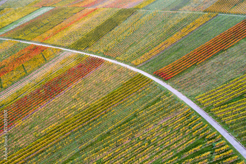 Luftaufnahme Weinberge bei Schnait im Herbst, Remstal, Baden Württemberg, Deutschland photo