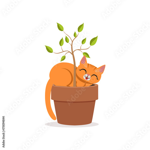 Cute funny red cat sleeping in a flower pot with a plant, home pet resting cartoon vector Illustration