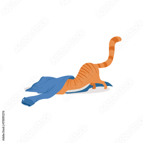 Cute funny red cat playing with blue shirt vector Illustration