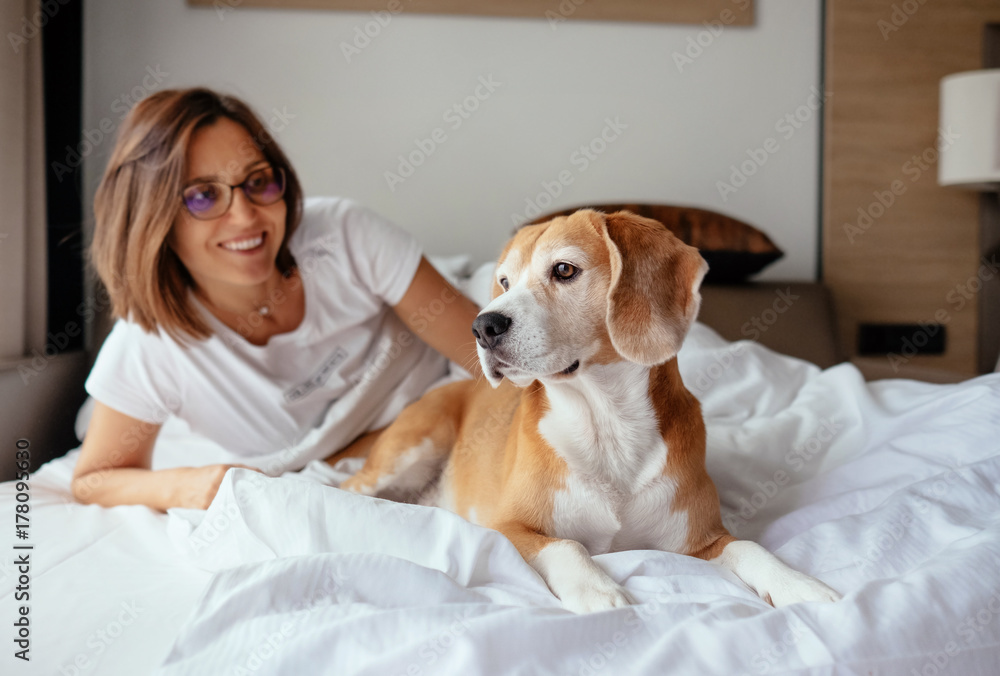 Lazy morning in bed - woman and her beagle dog meet morning