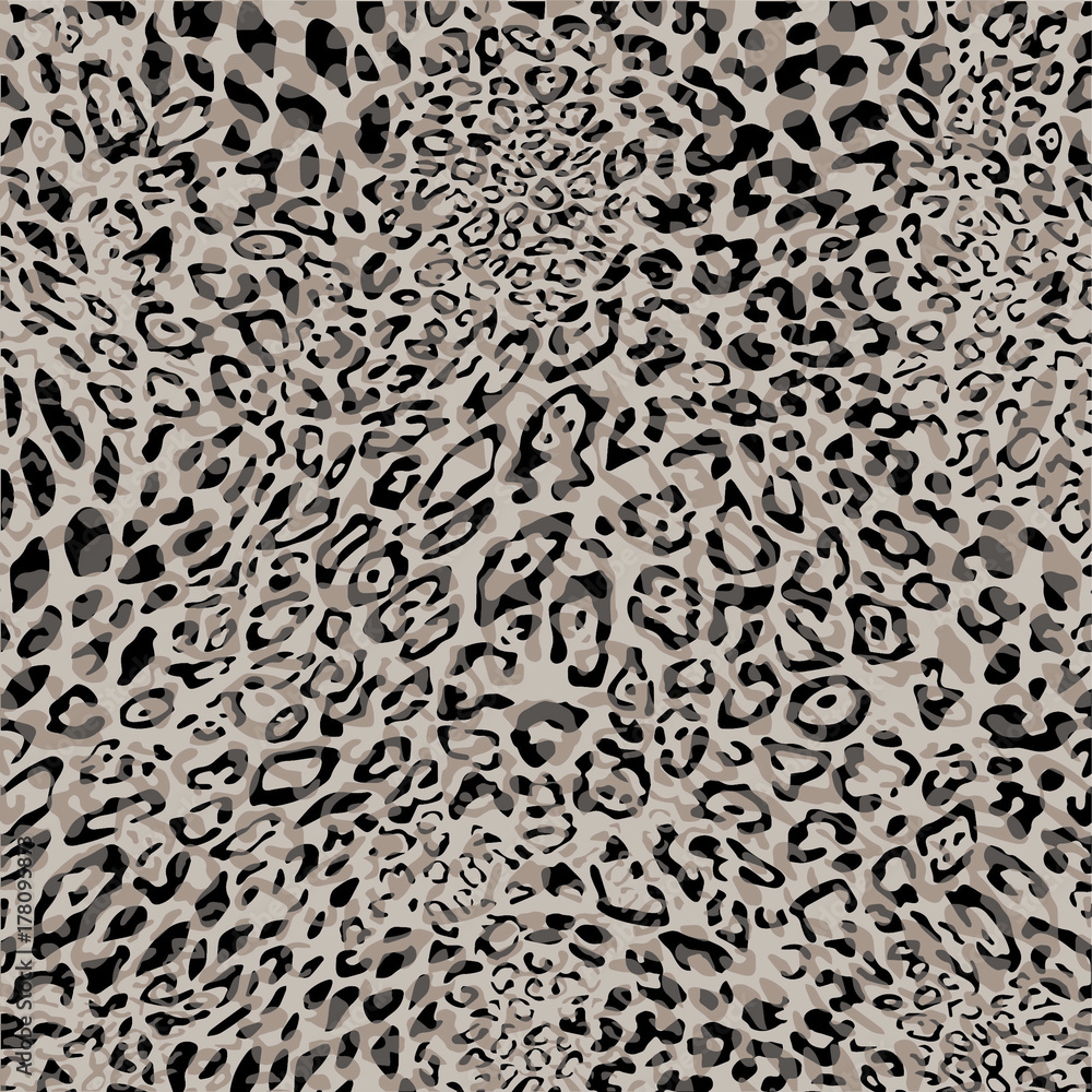 animal pattern abstract texture fabric leopard zebra animal pattern abstract texture fabric leopard zebra